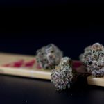 Madrid’s Vibrant Cannabis Scene img-1152.jpg