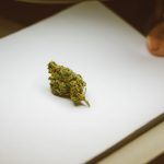 THC Vapes Delivery in Luxembourg img-1477.jpg