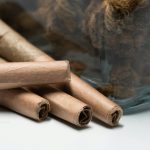 Welcome to the heart of the Italian cannabis scene—Venezia img-2124.jpg