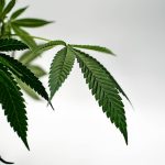 Affordable THC Vape Shop in Lyon – Online Delivery & Quality Products img-2354.jpg