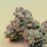 Cannabis Delivery Service in Essen img-2438.jpg