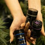 The Ultimate Guide to 420 Culture in the Netherlands img-2560.jpg