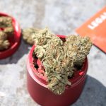 Prague Cannabis Market Guide img-2682.jpg