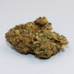 Hanover Cannabis Dispensary img-2805.jpg