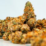 img-3104.jpg